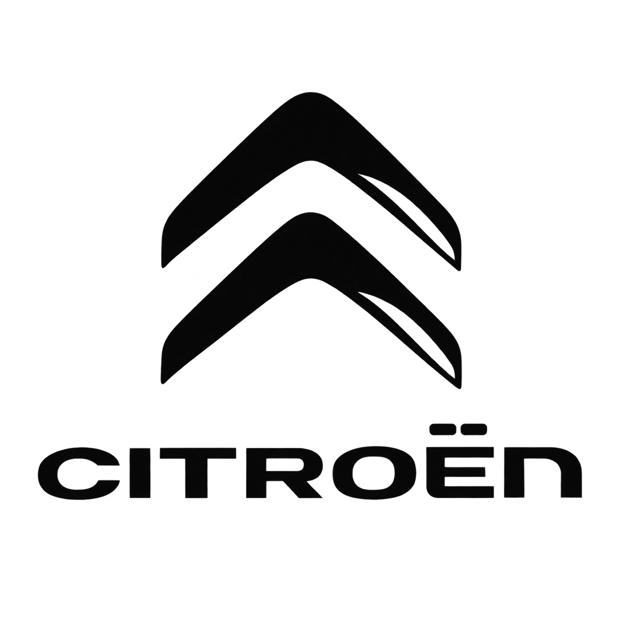 Logo cliente 41